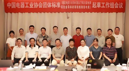 中國電器工業(yè)協(xié)會與遠(yuǎn)東電纜起草工作會